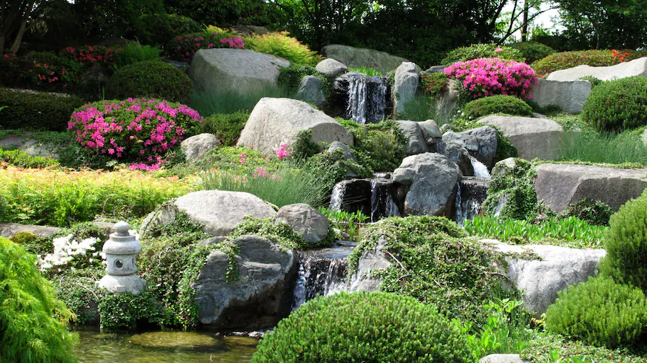 garden